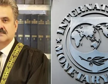 imf
