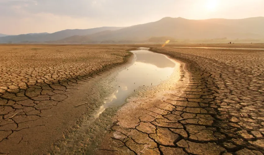drought