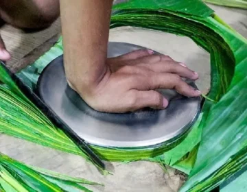 banana plates
