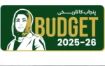 cm maryam nawaz one 1