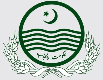 local governement punjab