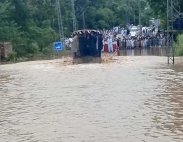 flood 6
