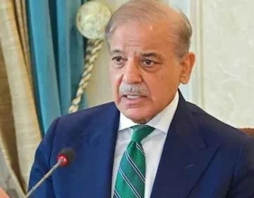 pm shehbaz sharif 11