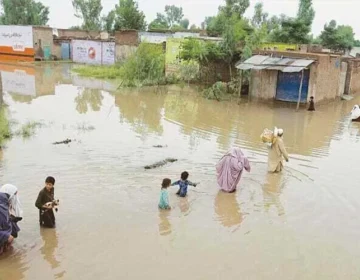 punjab flood 3