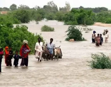 sindh flood