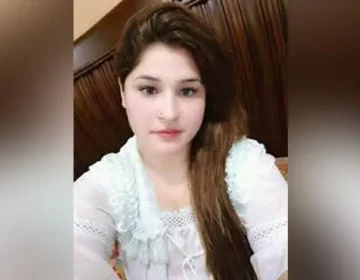 417866 7175850 updates
