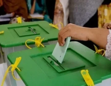 election voting
