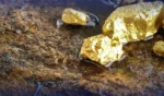 gold mine 1