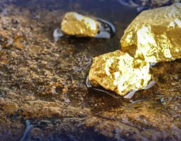 gold mine 1