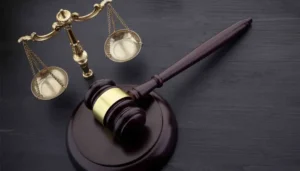 419783 5560219 updates