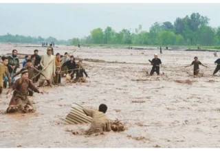 420890 8377221 updates