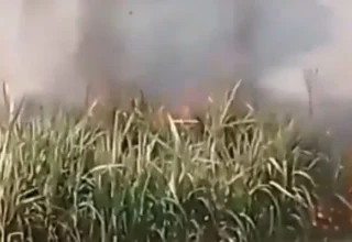 421320 8050513 updates