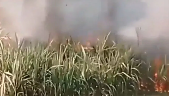 421320 8050513 updates