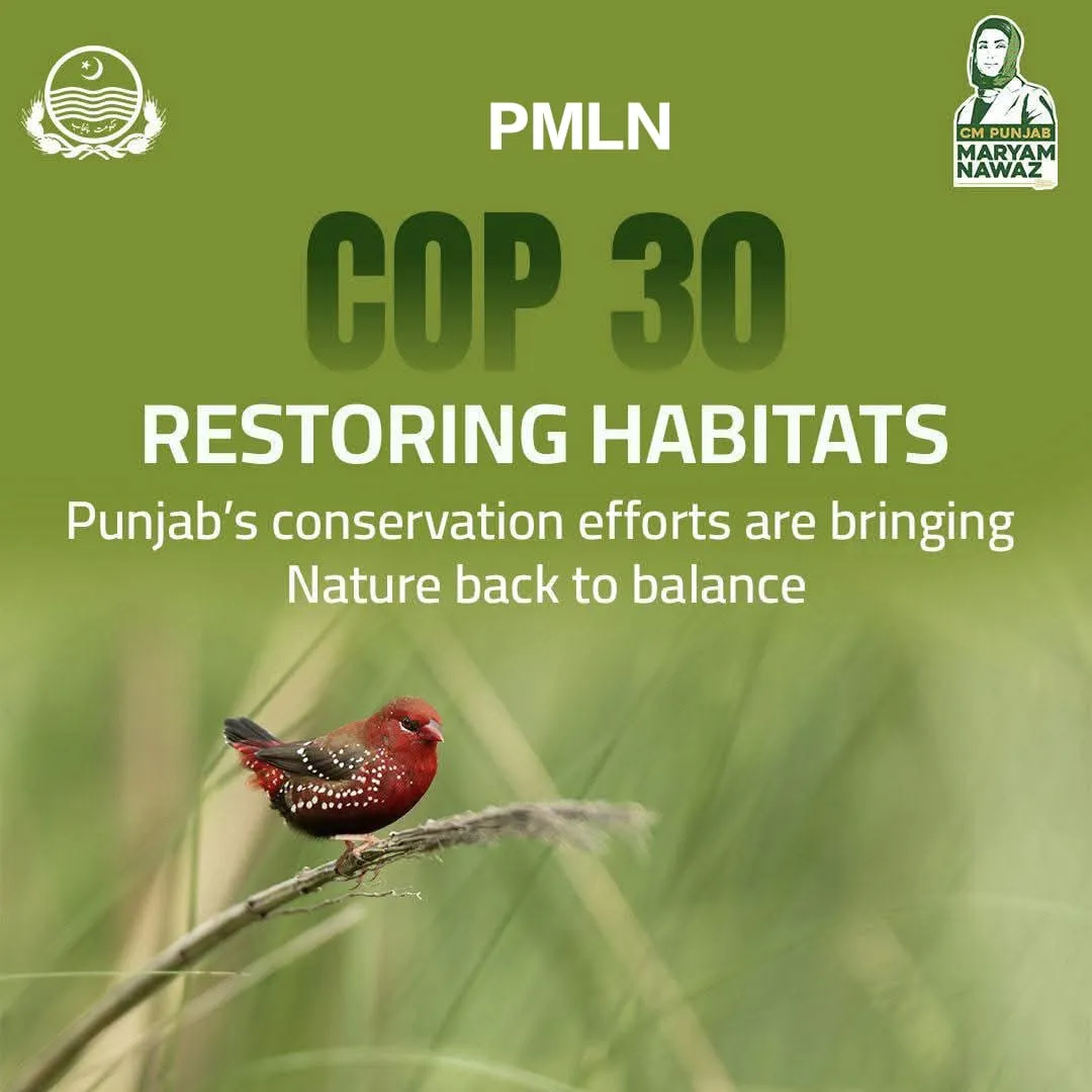 Untitled 2025 11 11T041009.779