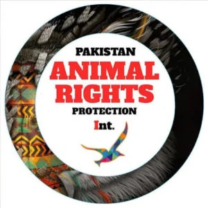 Untitled 2025 11 16T003841.980