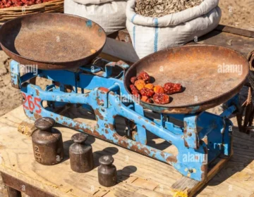 Untitled 2025 11 30T062059.559