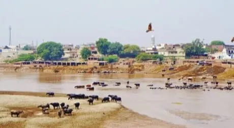 Untitled 2025 12 15T090659.441