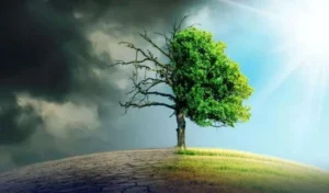 climate change 1