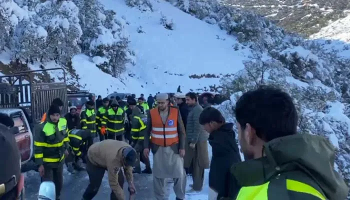 426201 182791 updates