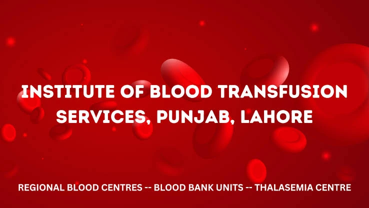 WhatsApp Image 2026 03 27 at 07.45.22