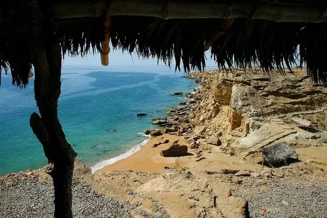 WhatsApp Image 2026 04 02 at 09.06.04